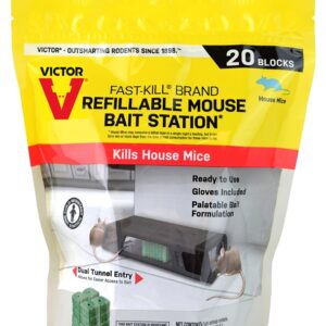 Victor