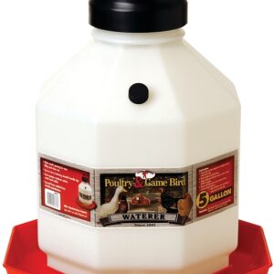 Little Giant