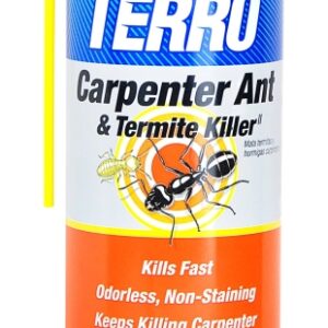 Terro