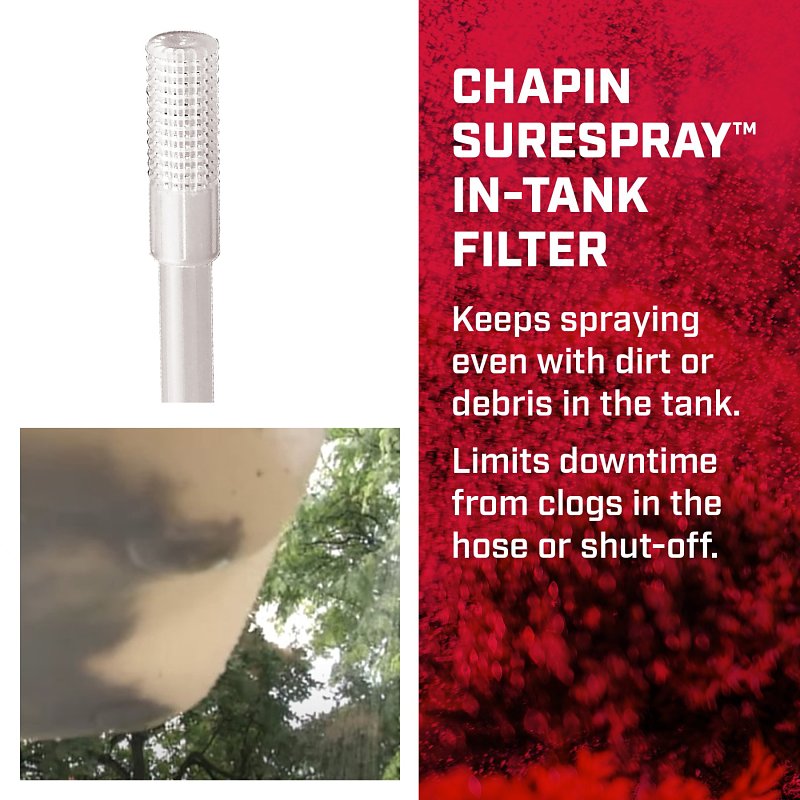Chapin