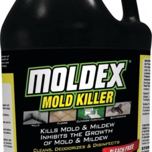 Moldex