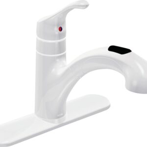 Moen