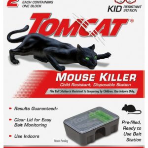 Tomcat