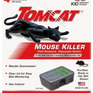 Tomcat