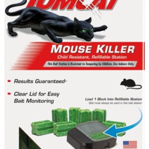 Tomcat