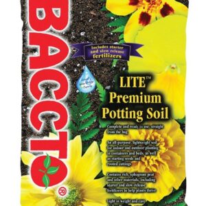 Baccto