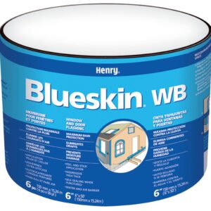 Blueskin