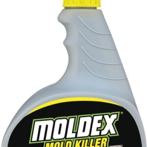 Moldex