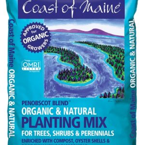 Coast of Maine
