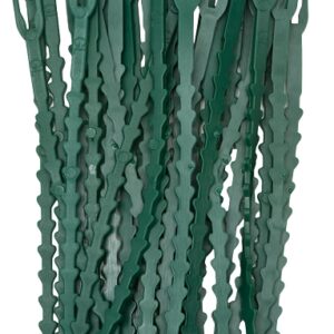 Gardener's Blue Ribbon