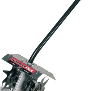 MTD