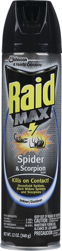 Raid Max