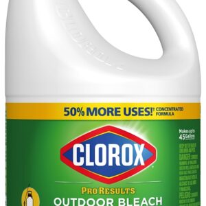 Clorox