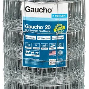 Gaucho