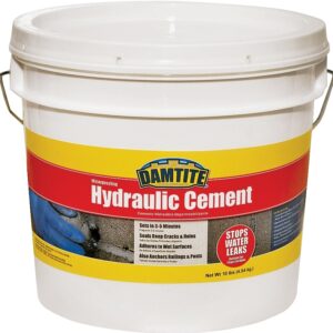 Damtite