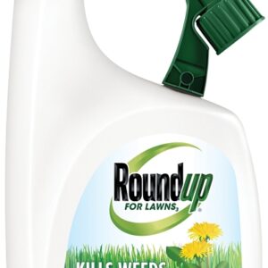 Roundup