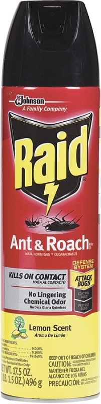 Raid