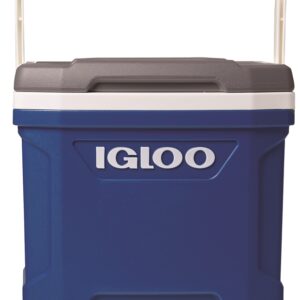 Igloo