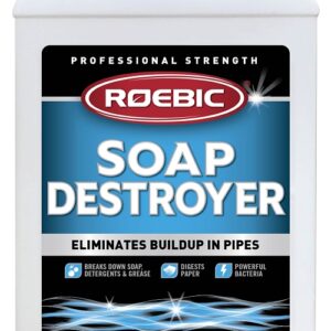 Roebic