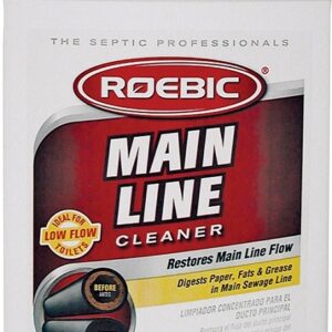 Roebic
