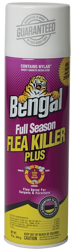 Bengal