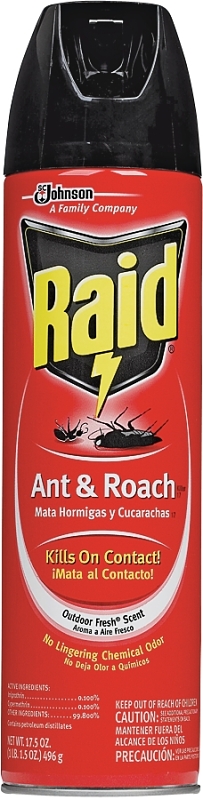 Raid