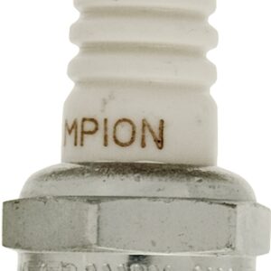 Champion