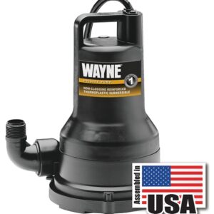 Wayne
