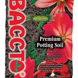 Baccto