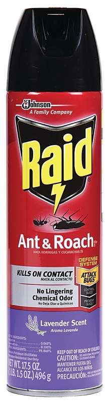 Raid