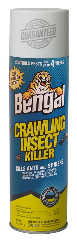Bengal