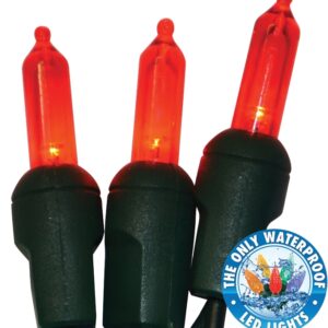 Holiday Bright Lights