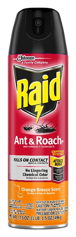 Raid