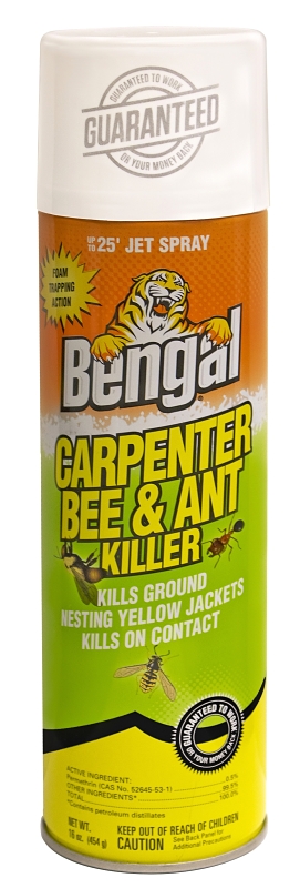 Bengal
