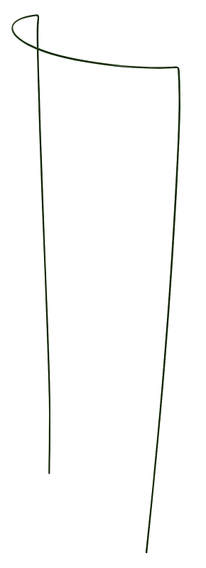 Gardener's Blue Ribbon