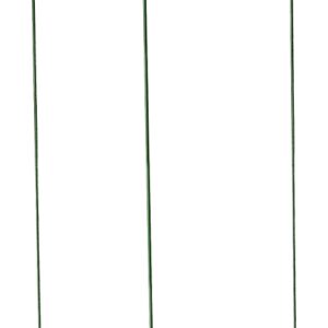 Gardener's Blue Ribbon