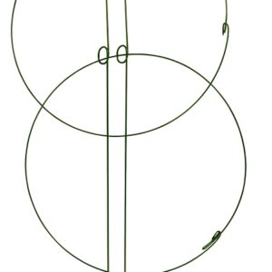 Gardener's Blue Ribbon