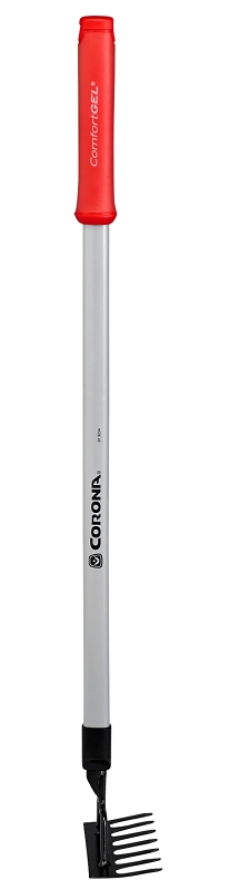 Corona