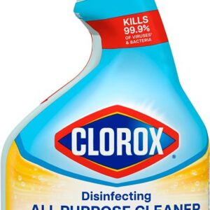 Clorox