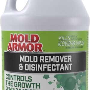 Mold Armor