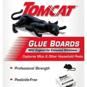 Tomcat