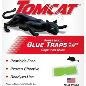 Tomcat
