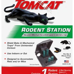 Tomcat