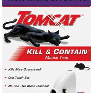 Tomcat