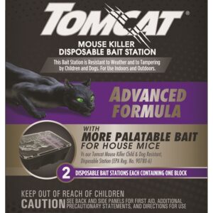 Tomcat