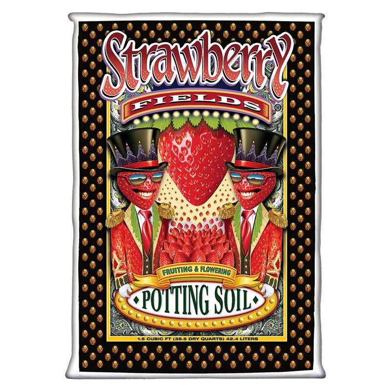 Strawberry Fields