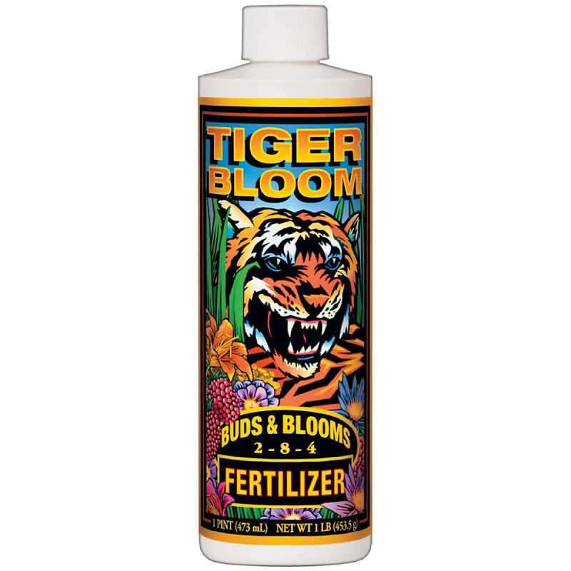 Tiger Bloom