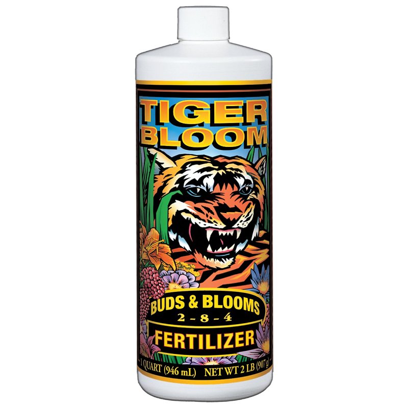 Tiger Bloom