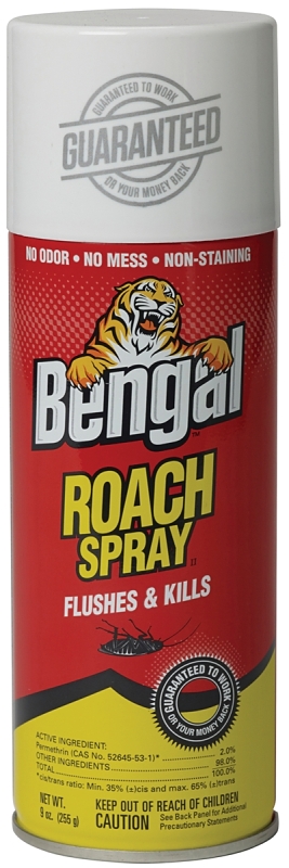 Bengal