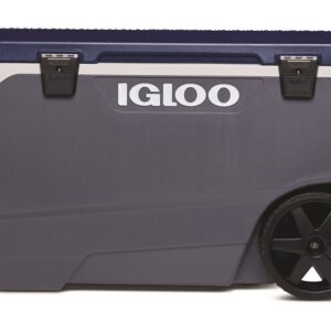 Igloo